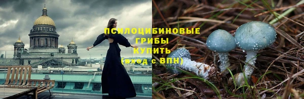 крисы Волоколамск